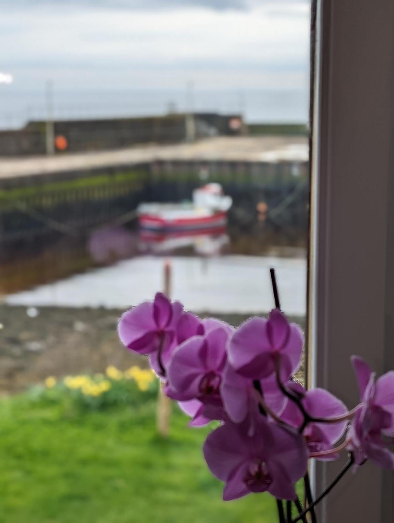 Bed and Breakfast Sea Song, Selkie House Хелмсдейл Экстерьер фото