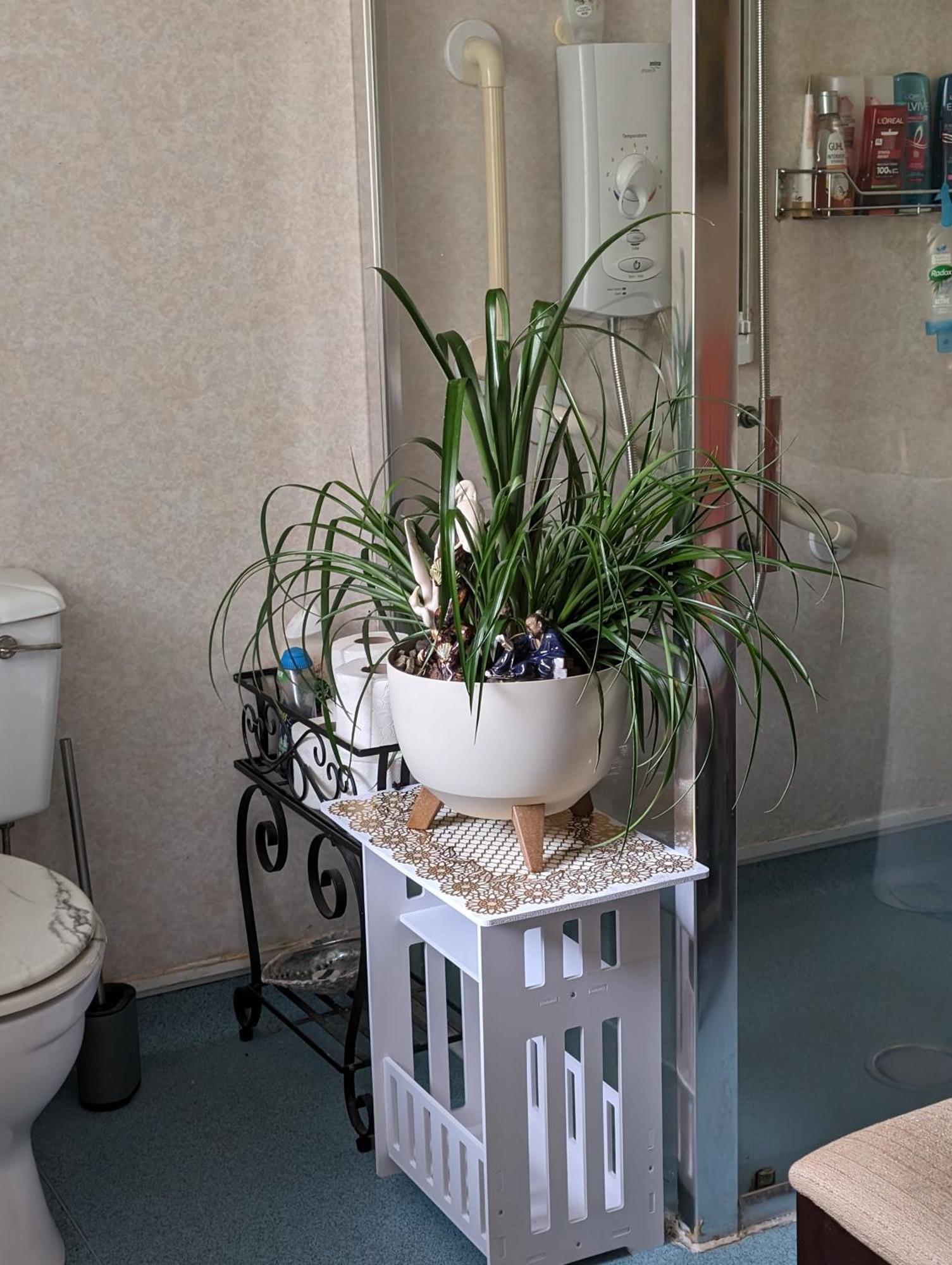 Bed and Breakfast Sea Song, Selkie House Хелмсдейл Экстерьер фото